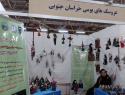 عروسک های بومی خراسان جنوبی