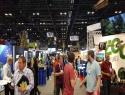 IAAPA-17
