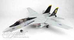 هواپیما مدل F-14